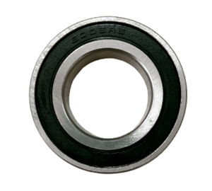 BALINERA 6000-2RS DFG